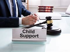 Image result for Child Support Law