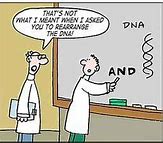 Image result for Biology Meme DNA