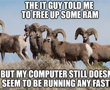 Image result for Free RAM Meme