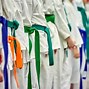 Image result for Taekwondo Color Belt Order