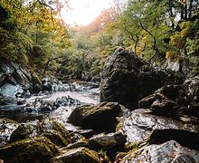 Image result for Fairy Glen Road Wales