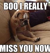 Image result for Miss You Puppy Meme