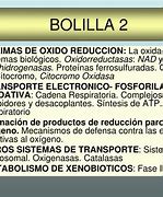Image result for bolilla