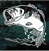 Image result for Fish Car Decal