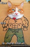 Image result for Cat with Muscles Meme