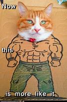 Image result for Muscle Cat Meme