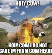 Image result for Holy Cow Meme Video
