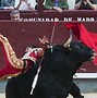 Image result for Gonzalo Caballero