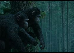 Image result for Caesar Planet of the Apes Eyes