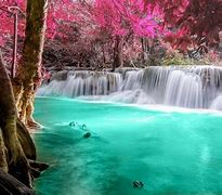 Image result for Best HD Nature