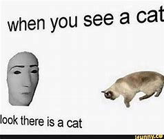 Image result for iFunny Cat