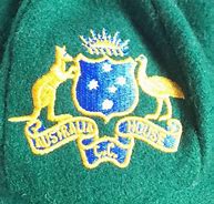 Image result for House Cricket
