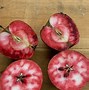 Image result for Rare Apple Varieties