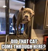 Image result for sup dawg memes funniest