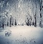 Image result for Images of Witer Snows