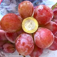 Image result for Types of Seedless Grapes