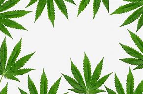 Image result for Marijuana Leaf Border Clip Art