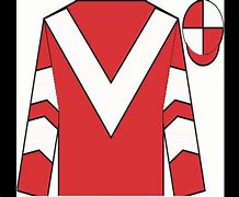 Image result for Grand National Jockey Colours