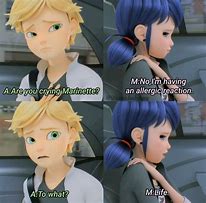 Image result for Miraculous Smart Memes