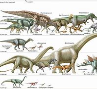 Image result for Dinosaur Small Big