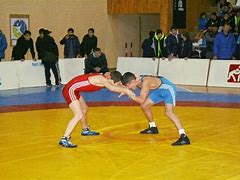 Image result for Ukraine Wrestling