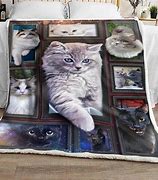 Image result for Cat Bed Map Blanket