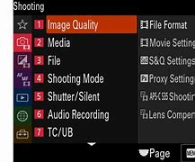 Image result for Color Style Menu Sony