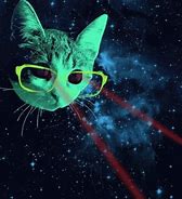 Image result for Cat Laser Robot