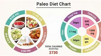 Image result for Paleo Diet Chart