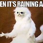 Image result for Cute Rain Meme