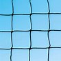 Image result for Sports with Nets