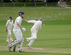 Image result for Coal Playing Cricket