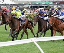 Image result for Melbourne Cup Horse Racing