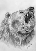 Image result for bear face sketch