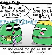 Image result for DNA Replication Comic Strip