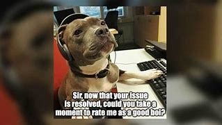 Image result for Animal Customer Service Meme