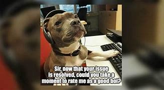 Image result for Dog Customer Service Meme