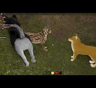 Image result for Roblox Simulator Dog