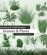Image result for Procreate Tree Brushes