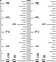 Image result for Metric Ruler Template