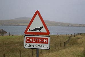 Image result for Otter Cases Sign