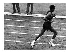 Image result for Abebe Bikila Running