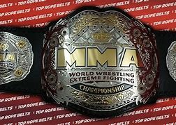 Image result for MMA Belt