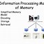 Image result for Memory Techniques for College Students