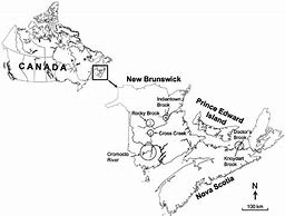 Image result for New Brunswick