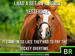 Image result for Funny Horse Racing Birthday Memes