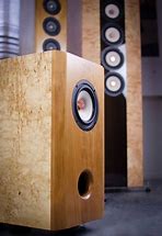 Image result for Single Driver Full Range Speakers