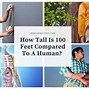 Image result for How High Is 100 Feet