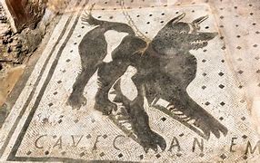 Image result for Pompeii Dog Paint