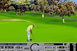 Image result for Links Golf Game